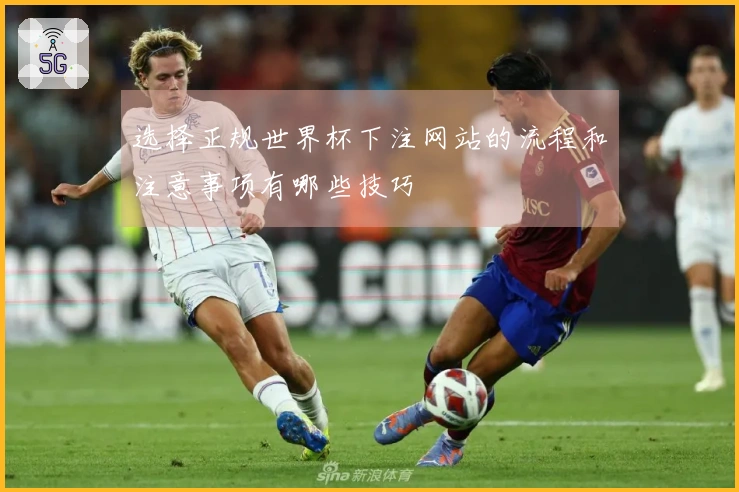 选择正规世界杯下注网站的流程和注意事项有哪些技巧